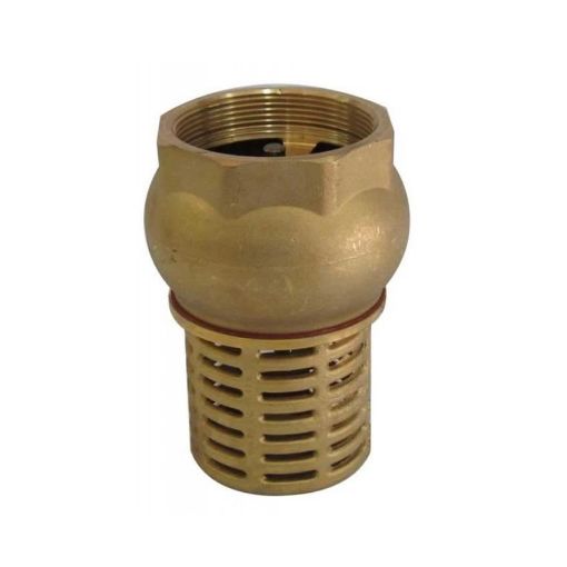 Brass Foot Valve with Strainer