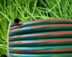 Superflex-garden-hose